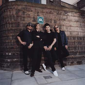 The Servant - List pictures