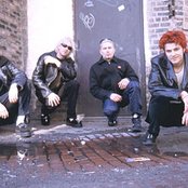 Econoline Crush - List pictures