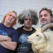 The Melvins - List pictures