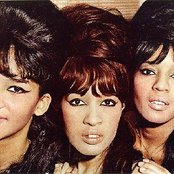 The Ronettes - List pictures