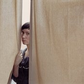 Taken By Trees - List pictures