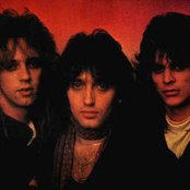 Wild Strawberries - List pictures