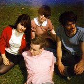 Veronica Falls - List pictures