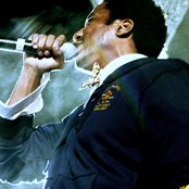 Q-tip - List pictures