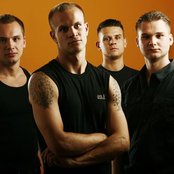 The Snakes - List pictures