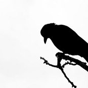 Maceo - List pictures