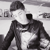 Robin - List pictures