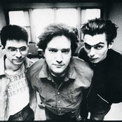 Shellac - List pictures