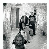 Dolly - List pictures