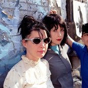 Le Tigre - List pictures