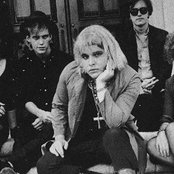 The Gun Club - List pictures