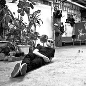 Salva - List pictures