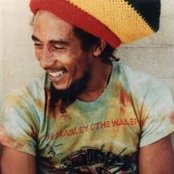 Fidel Nadal - List pictures