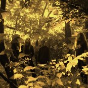 Sear Bliss - List pictures