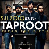 Taproot - List pictures