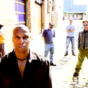 Fighting Gravity - List pictures