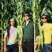 Trans Am - List pictures