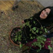 Efecto Mariposa - List pictures