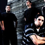 Scars Of Life - List pictures