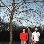 Avett Brothers - List pictures