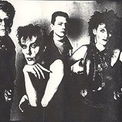 Bauhaus - List pictures