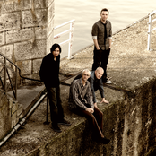 Pineapple Thief - List pictures