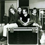 Cranberries - List pictures