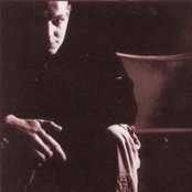 The Third Eye Foundation - List pictures