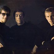 The Peddlers - List pictures