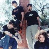 Finch - List pictures