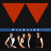 Wildlife - List pictures