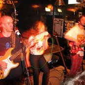 Drumfish - List pictures