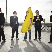 100 Monkeys - List pictures