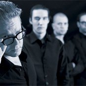 Viikate - List pictures