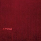 Ambiq - List pictures