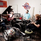 Fond Of Tigers - List pictures