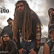 Ill Niño - List pictures