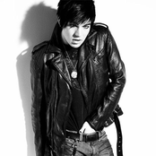 Adam Lambert - List pictures