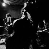 Talisker - List pictures