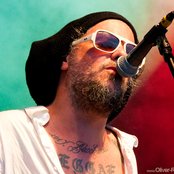 Jaya The Cat - List pictures