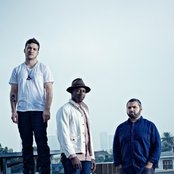 Animals As Leaders - List pictures