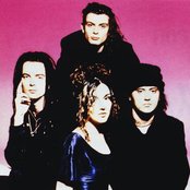 The Cranes - List pictures