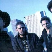 Plebe Rude - List pictures