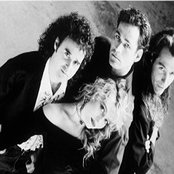 Animotion - List pictures