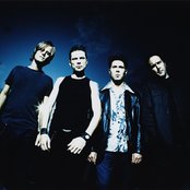 Oleander - List pictures