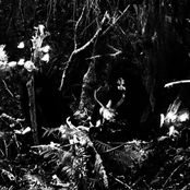 Wolves In The Throne Room - List pictures