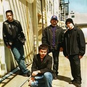 Life Of Agony - List pictures