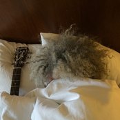 King Buzzo - List pictures