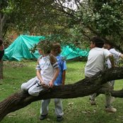 Antonio Cortes - List pictures