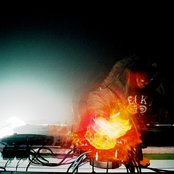 The Bug - List pictures